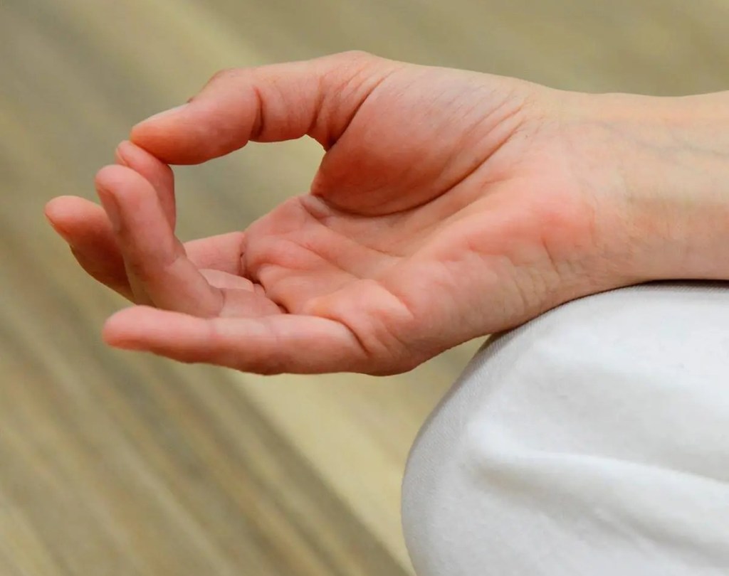 Vols començar a&nbsp;meditar?